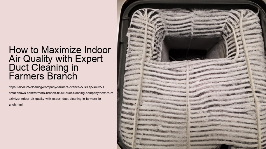 How to Maximize Indoor Air Quality with Expert Duct Cleaning in Farmers Branch