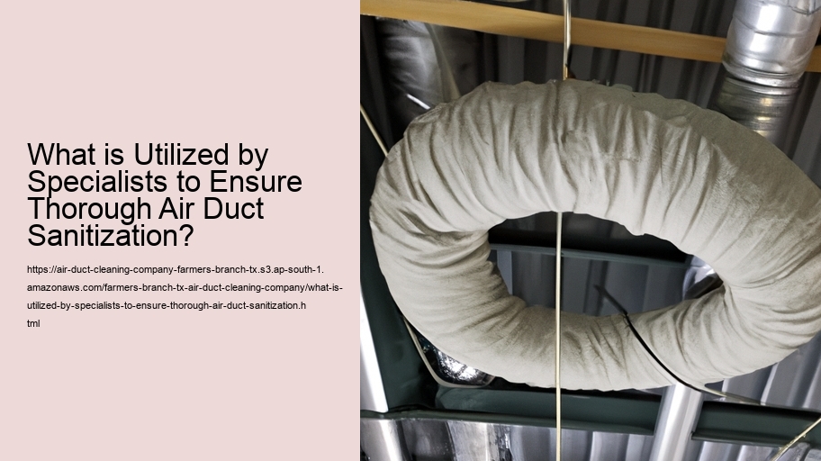 What is Utilized by Specialists to Ensure Thorough Air Duct Sanitization?